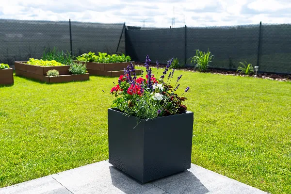 Various flowers standing on the terrace in a large pot on wheels, lawn in the background