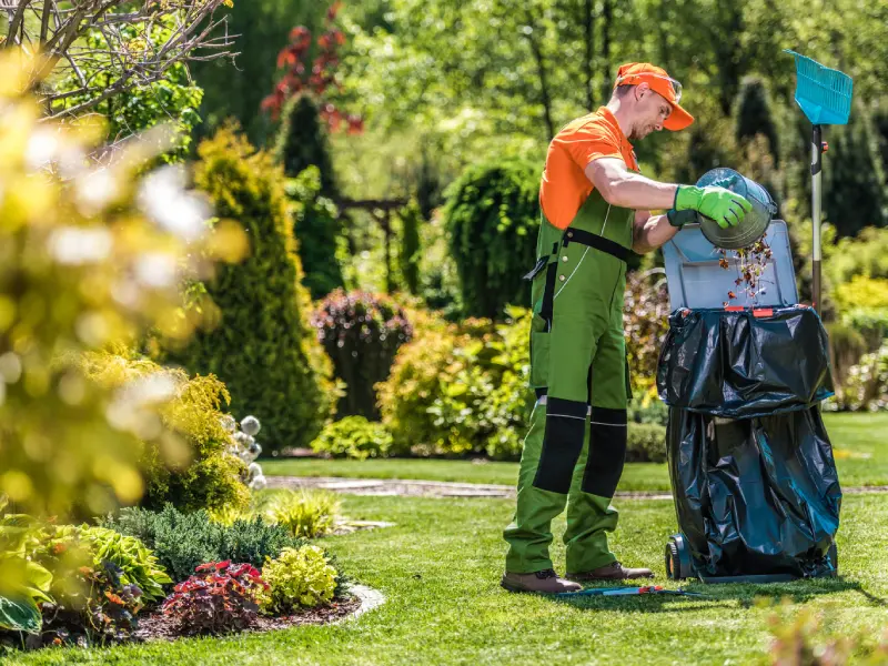 gardener working in the green garden and cleaning it from leaves and grass